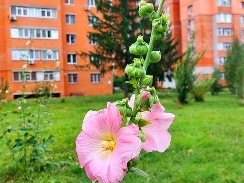 квартира за адресою Герасима Кондратьєва вул. (Кірова), 158