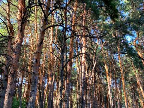 квартира по адресу Дружбы Народов просп. (Дружбы Народов), 51а