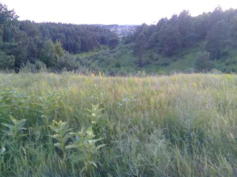 ділянка за адресою