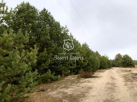 ділянка за адресою Ірпінська вул., 2