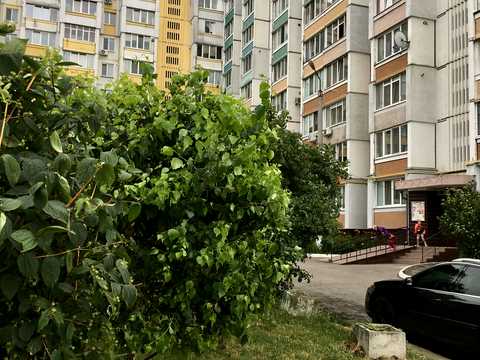 квартира за адресою Строкова, 1