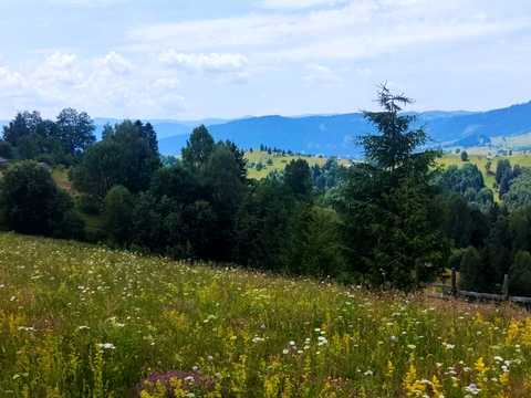дом по адресу Полінечник, 26