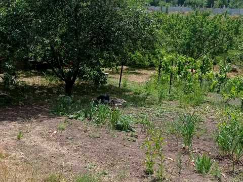 дом по адресу провулок Тихий, 50