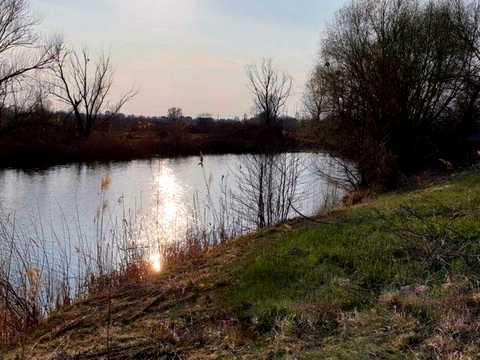 ділянка за адресою Наталії Кобринської