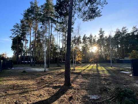 ділянка за адресою Сосновий Бір вул.