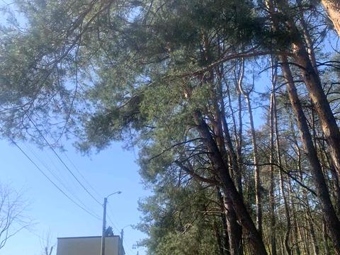 ділянка за адресою Північна вул.