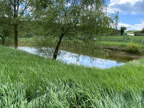 ділянка за адресою с. Тисовець, Пантівська