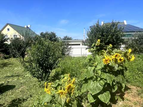 будинок за адресою Пирогова вул., 350