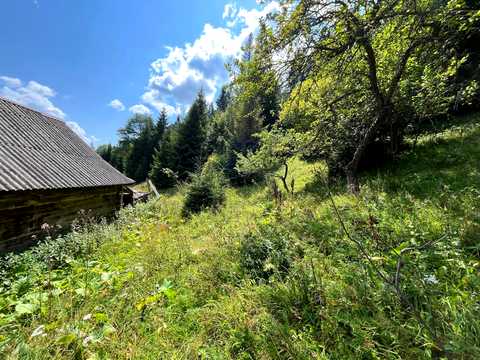 участок по адресу Женецкая ул.