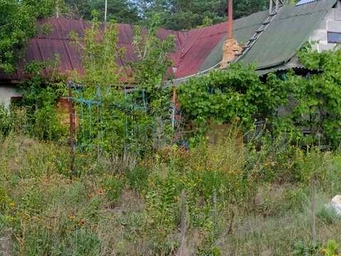 участок по адресу Центральна, 66