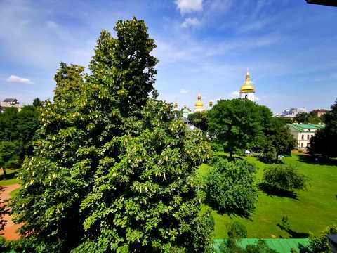 комерційна за адресою Георгіївський пров., 7