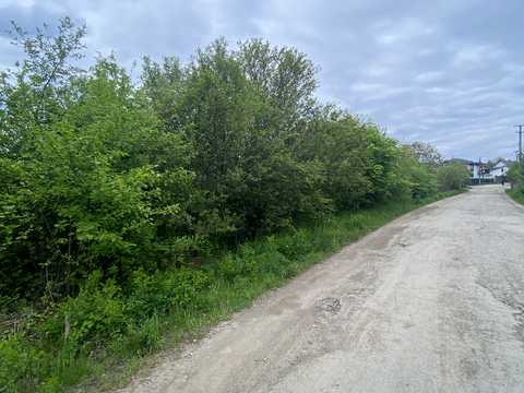 ділянка за адресою Центральна вул.