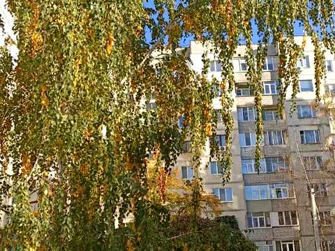 квартира за адресою Герасима Кондратьєва вул. (Кірова)
