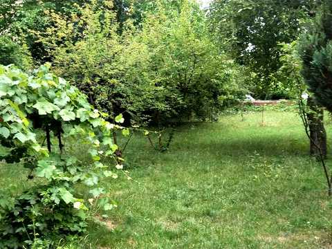 дом по адресу 24-садова