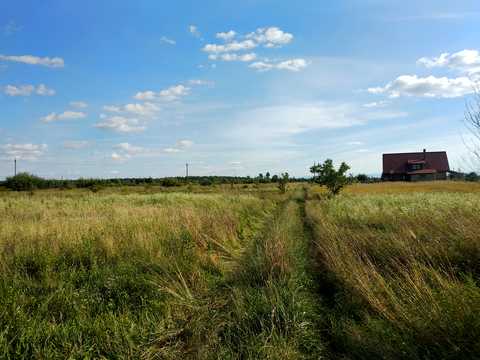 ділянка за адресою с. Черніїв, 