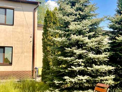 будинок за адресою Лесний, 6
