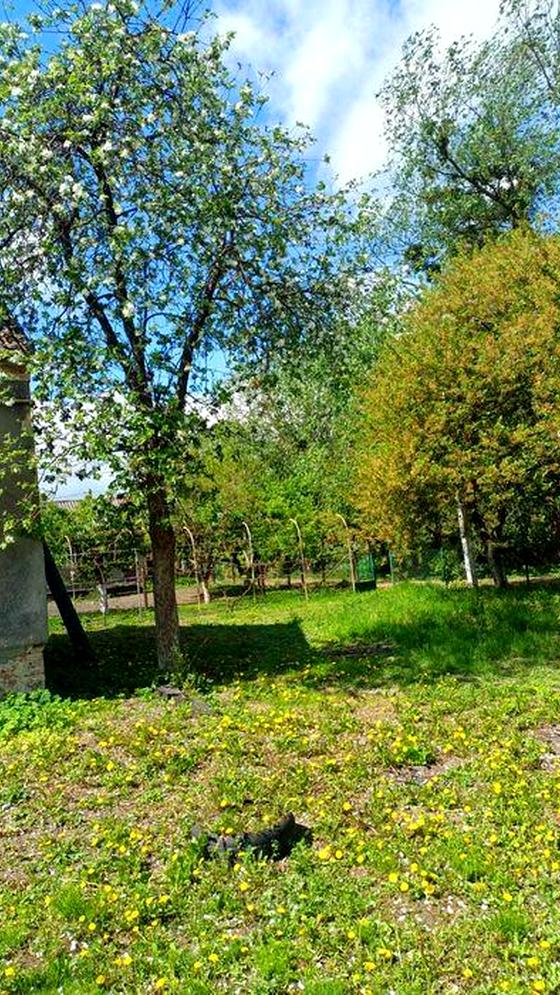 Чернігівська вулиця, 1а