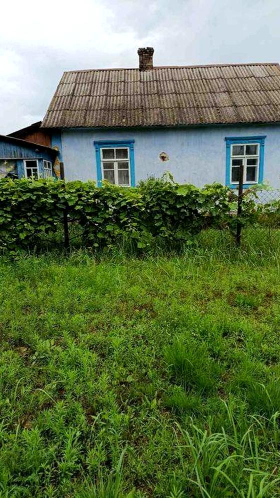 Шкільна вулиця