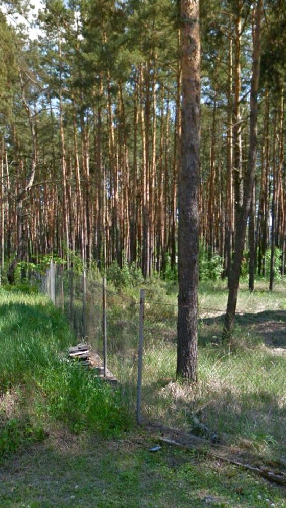 Університетська вулиця