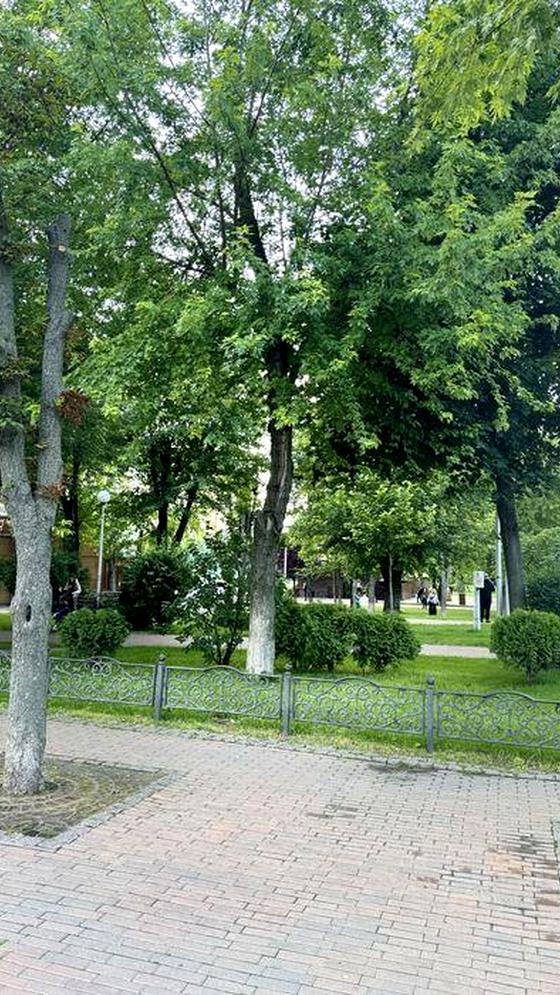 Європейська вулиця, 31-А