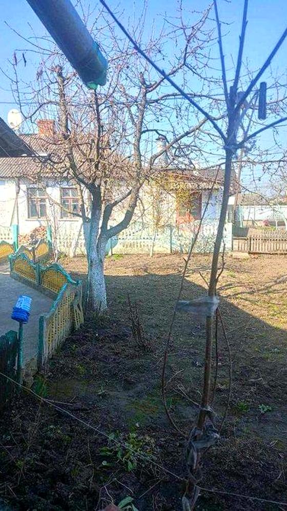 вулиця Шпаковича
