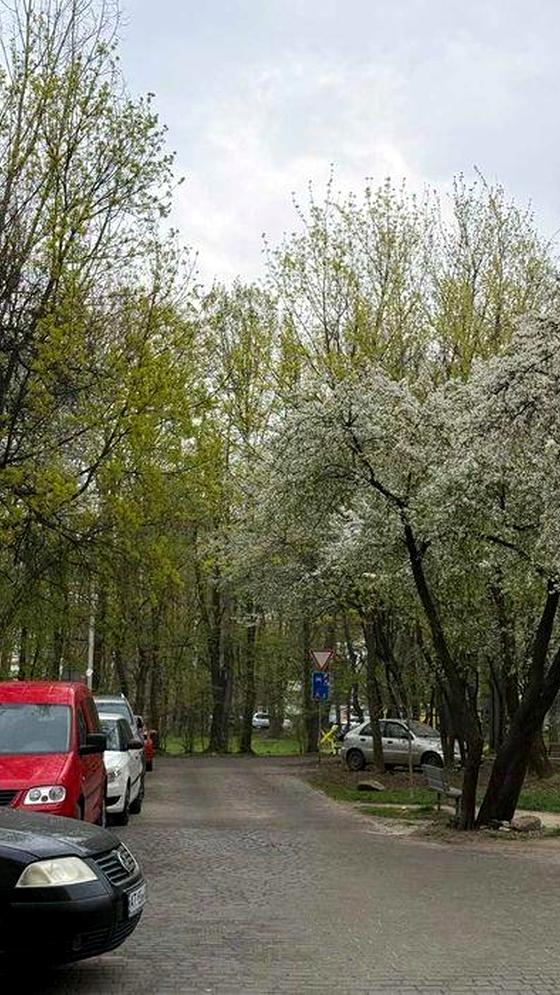 вулиця Чорновола, 128А