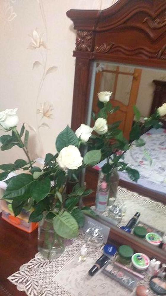 вулиця Академіка Тарле