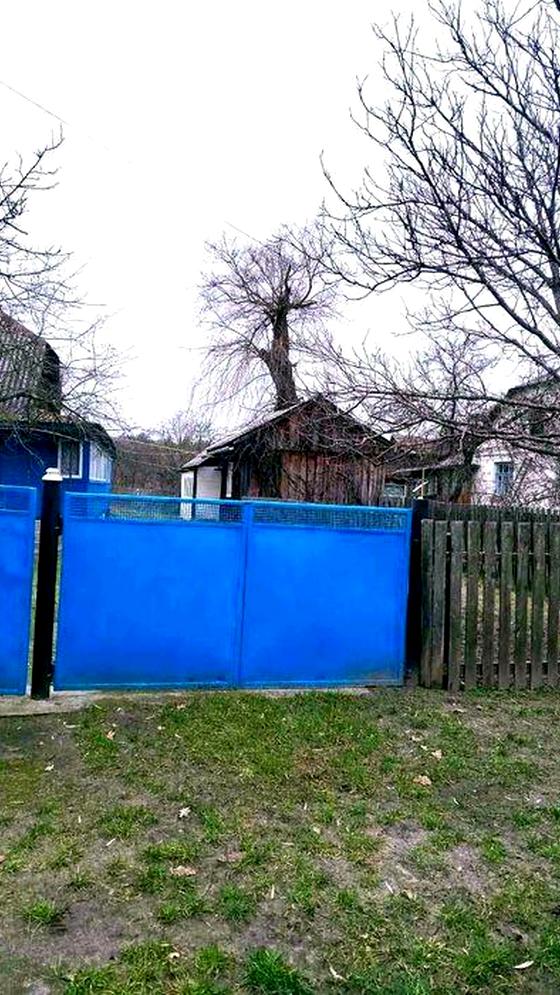 вулиця Лісний Кордон 58