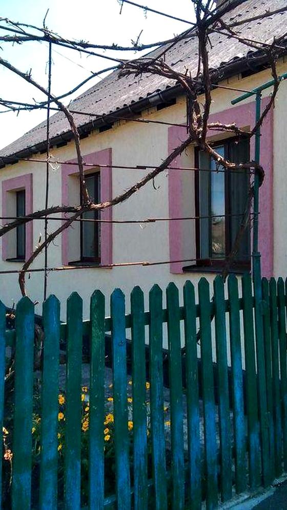Пліщинська вулиця