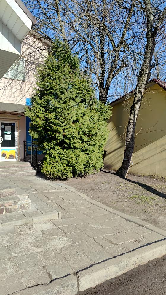 Сонячна вулиця