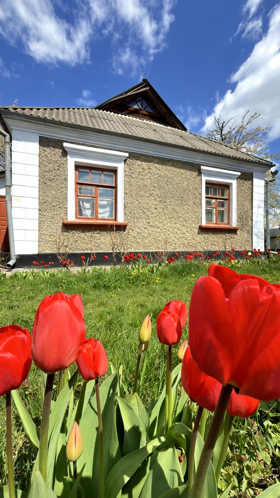 Соборна вулиця