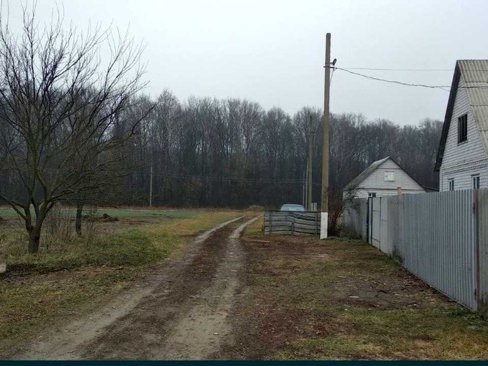 1825953321497269