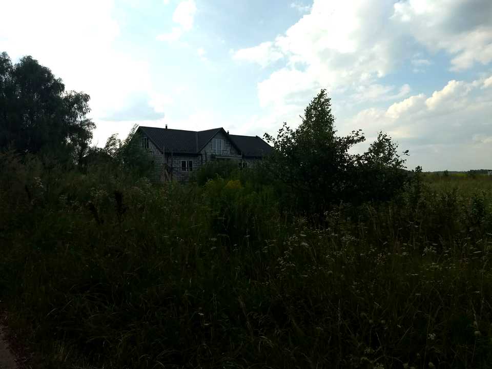 1775461486212794