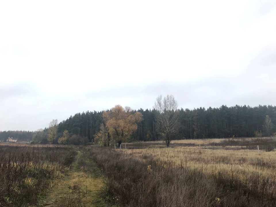 1767517892757480