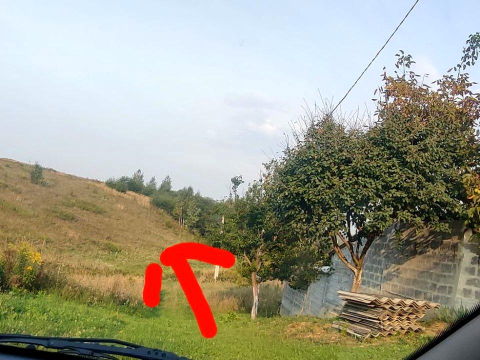 1854930184299738