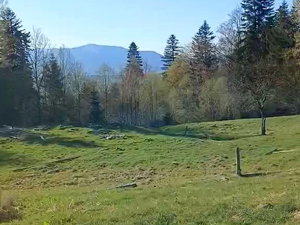1855856323302889