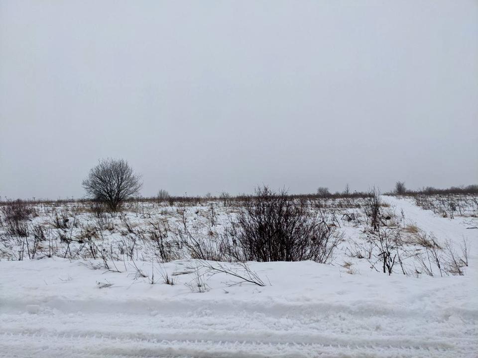 1856636001924368