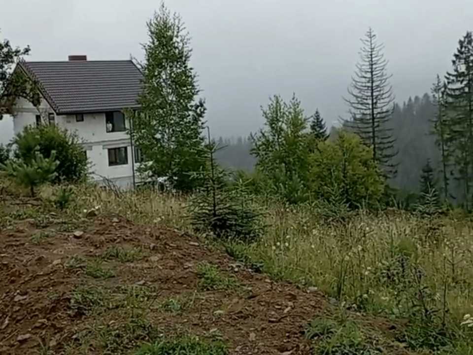 1857034326514436