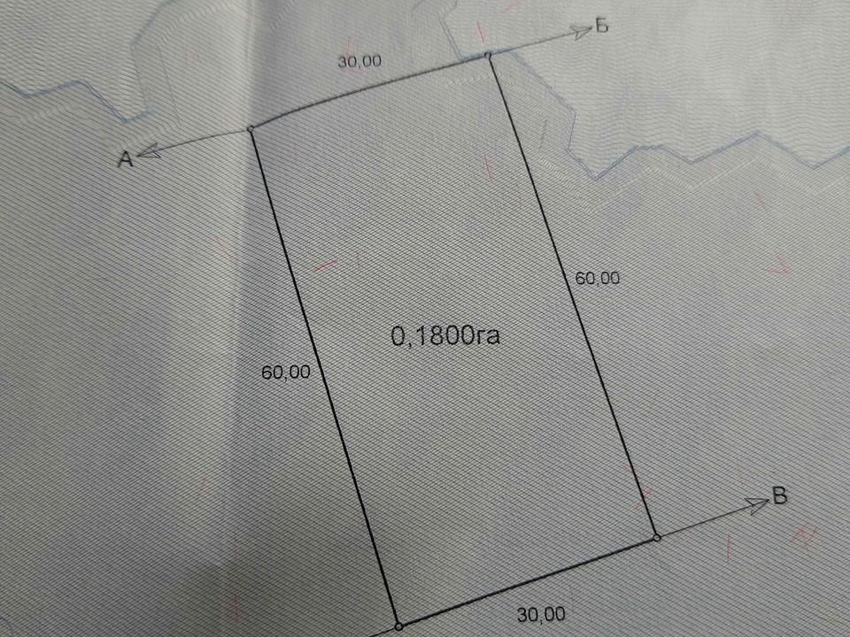 1859272246057482
