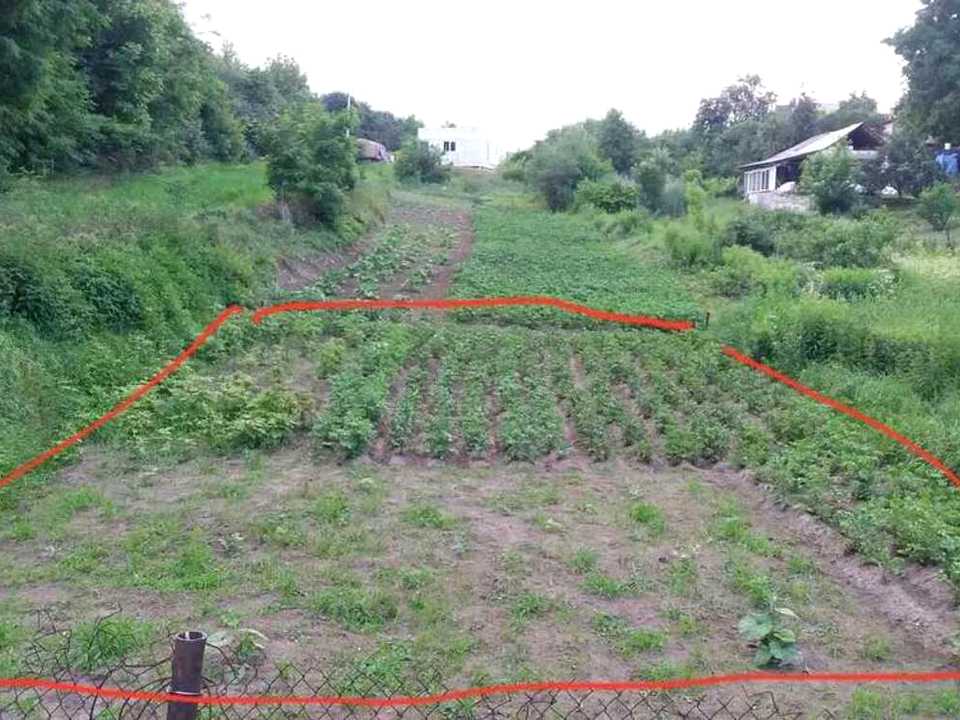1862456072830740