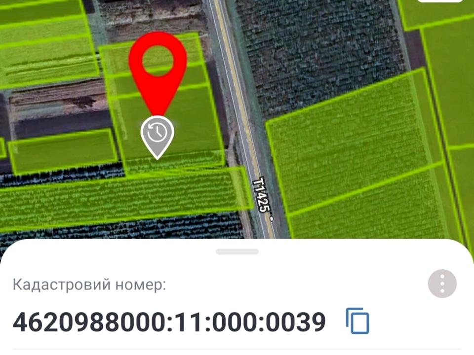 1862879797555780