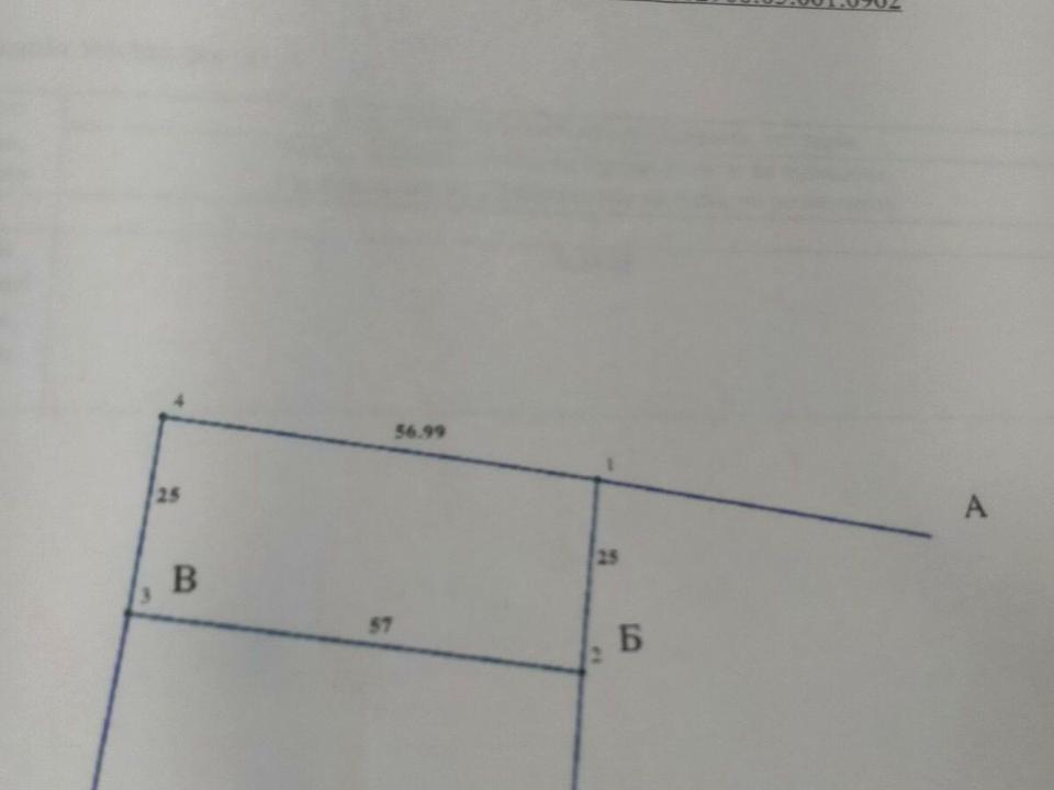 1862894925715423.jpg