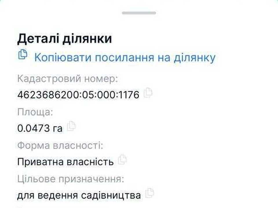 1863176845546574.jpg