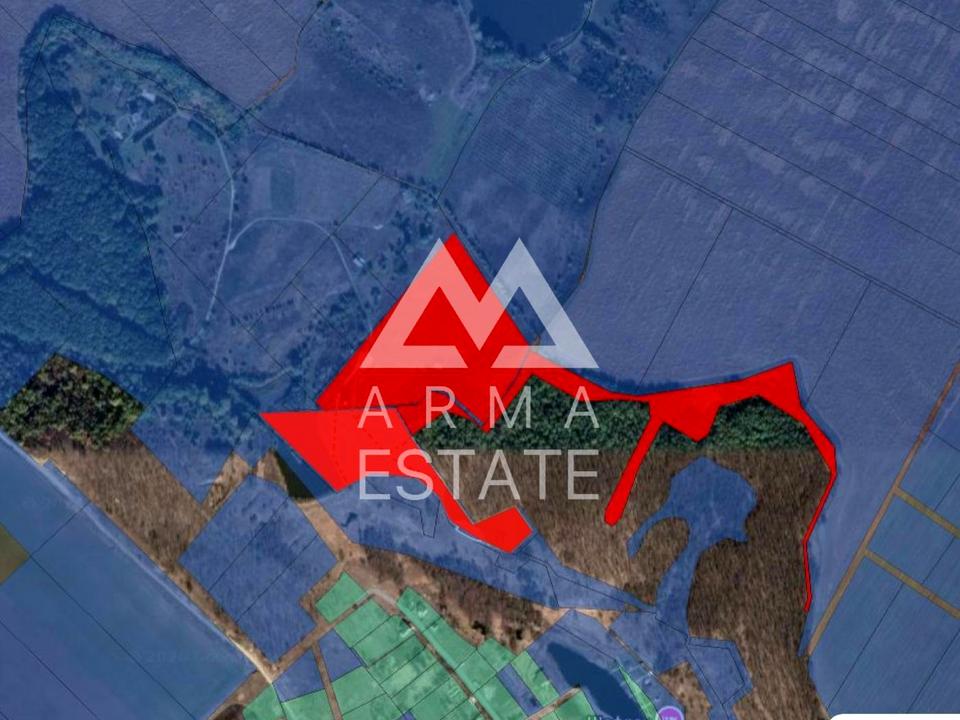 1863198586517466