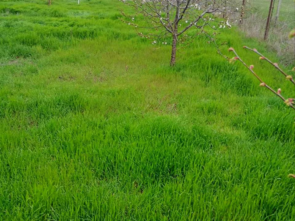 1863633411882098