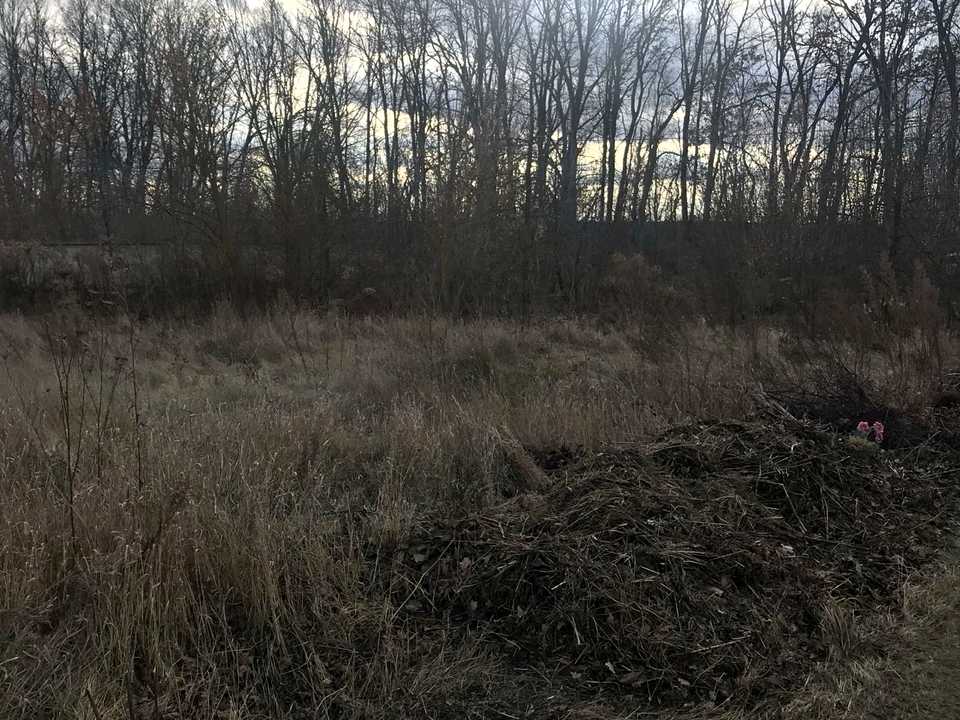 1863722490314296