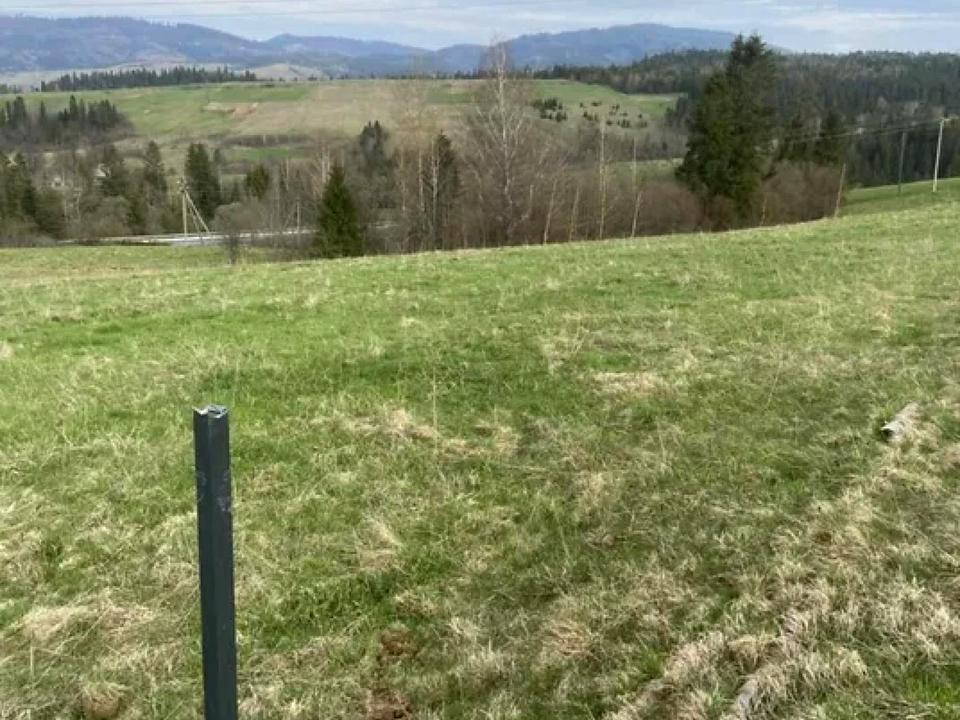 1863789838961809