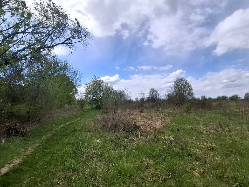 1863812359572293