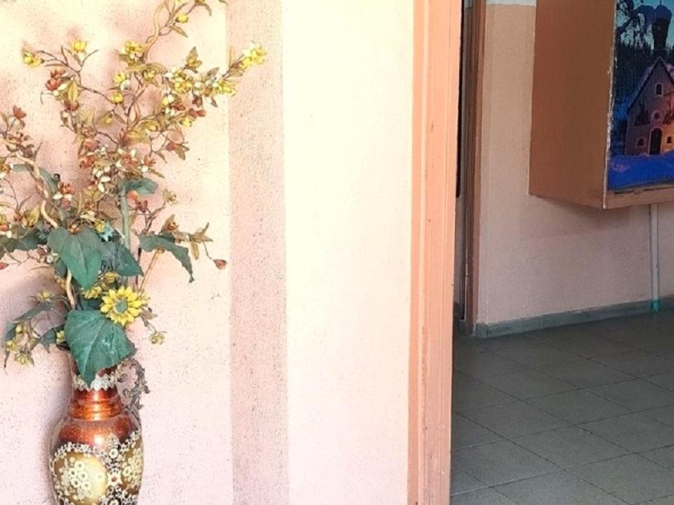 1864254620173306