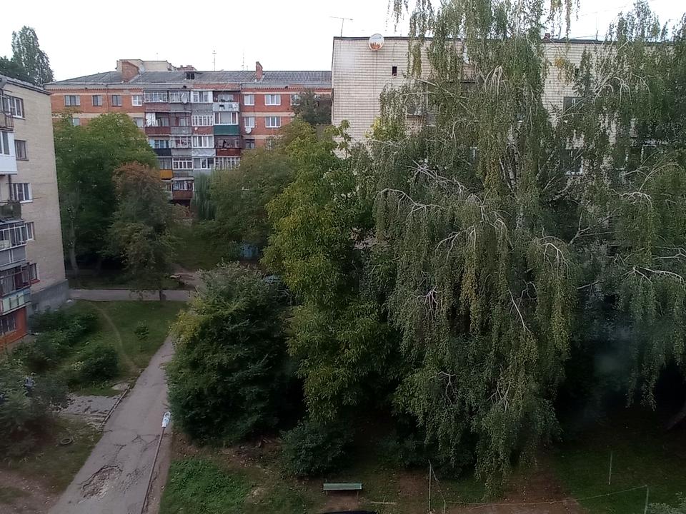 1864336795163031
